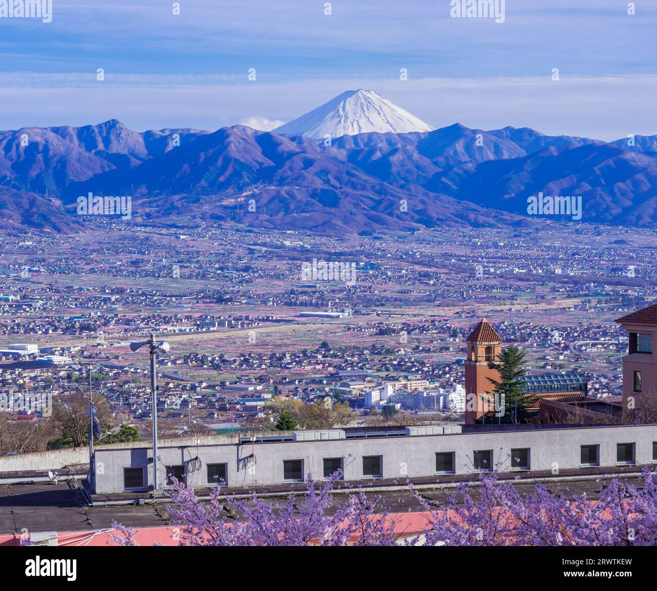 Paesaggi di Yamanashi fiori di ciliegio e bacino di Kofu, vista a distanza del Monte Fuji al Fuefukigawa Fruit Park Foto Stock