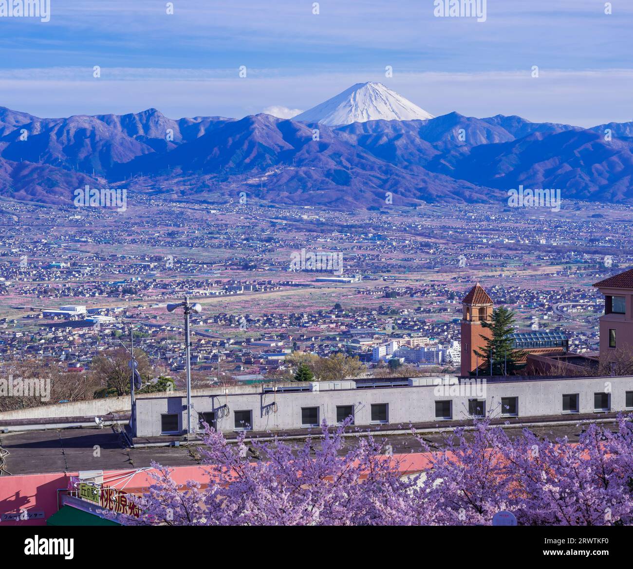 Paesaggi di Yamanashi fiori di ciliegio e bacino di Kofu, vista a distanza del Monte Fuji al Fuefukigawa Fruit Park Foto Stock