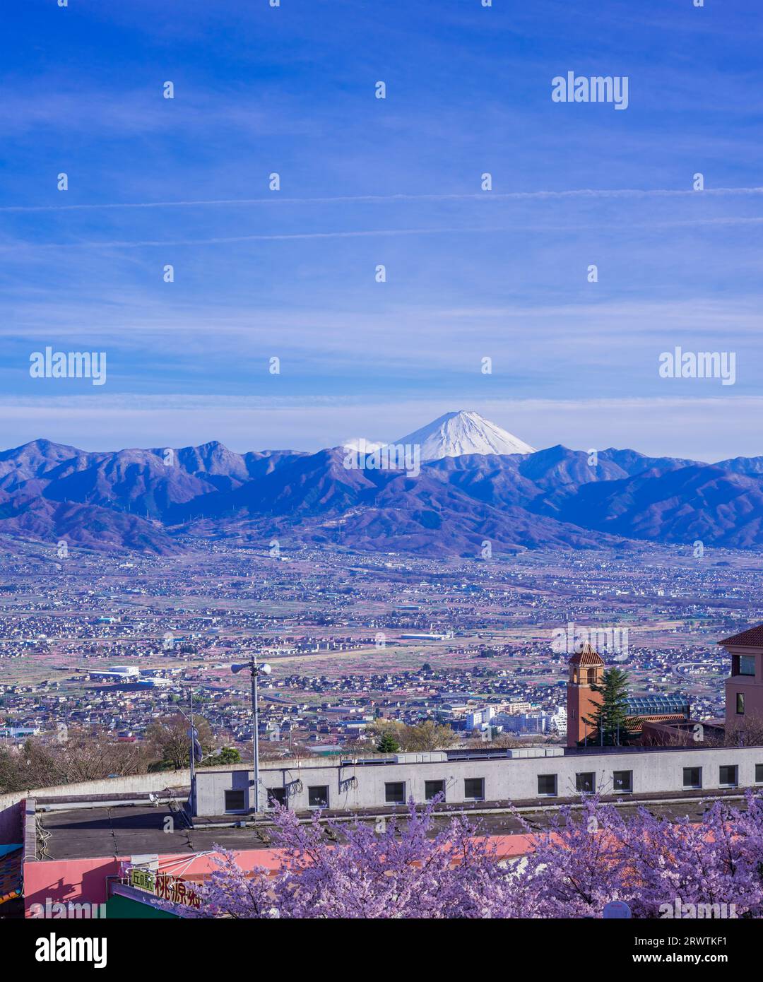 Paesaggi di Yamanashi fiori di ciliegio e bacino di Kofu, vista a distanza del Monte Fuji al Fuefukigawa Fruit Park Foto Stock