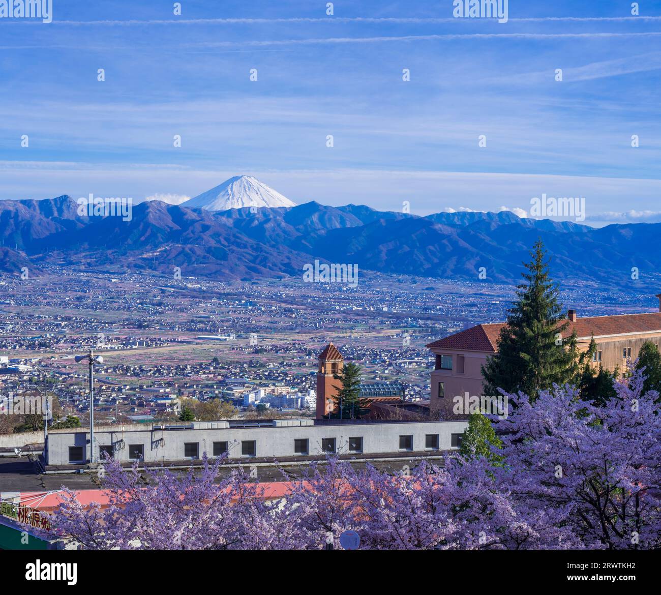 Paesaggi di Yamanashi fiori di ciliegio e bacino di Kofu, vista a distanza del Monte Fuji al Fuefukigawa Fruit Park Foto Stock