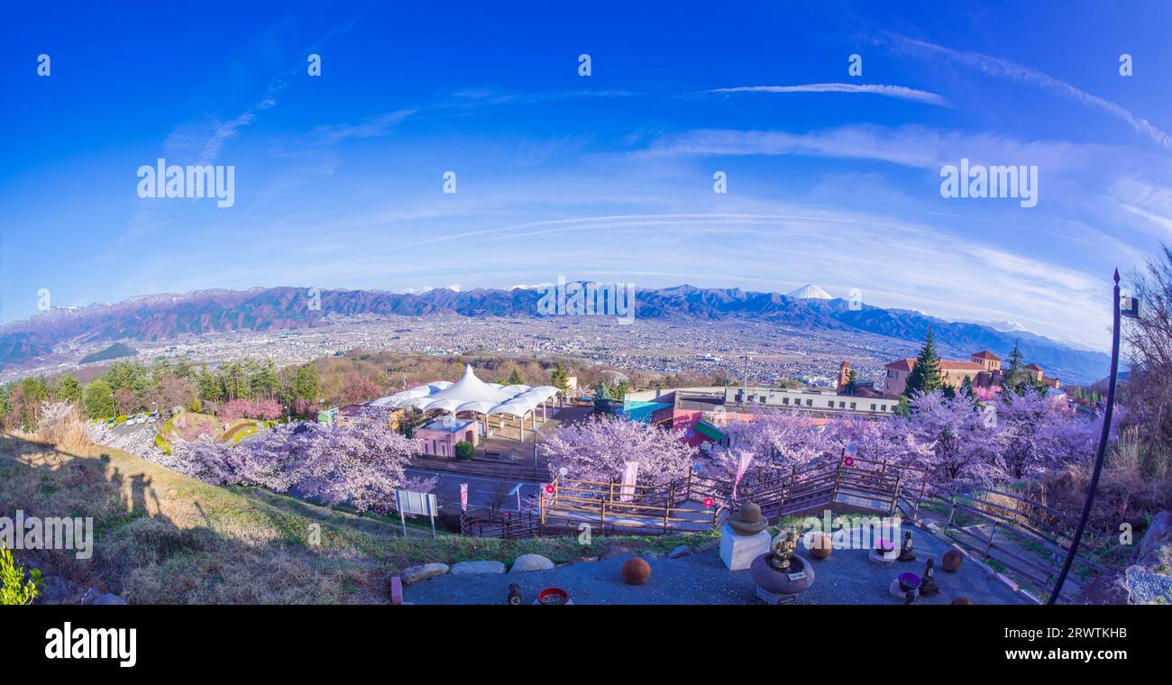Paesaggi di Yamanashi fiori di ciliegio e bacino di Kofu, vista a distanza del Monte Fuji al Fuefukigawa Fruit Park Foto Stock