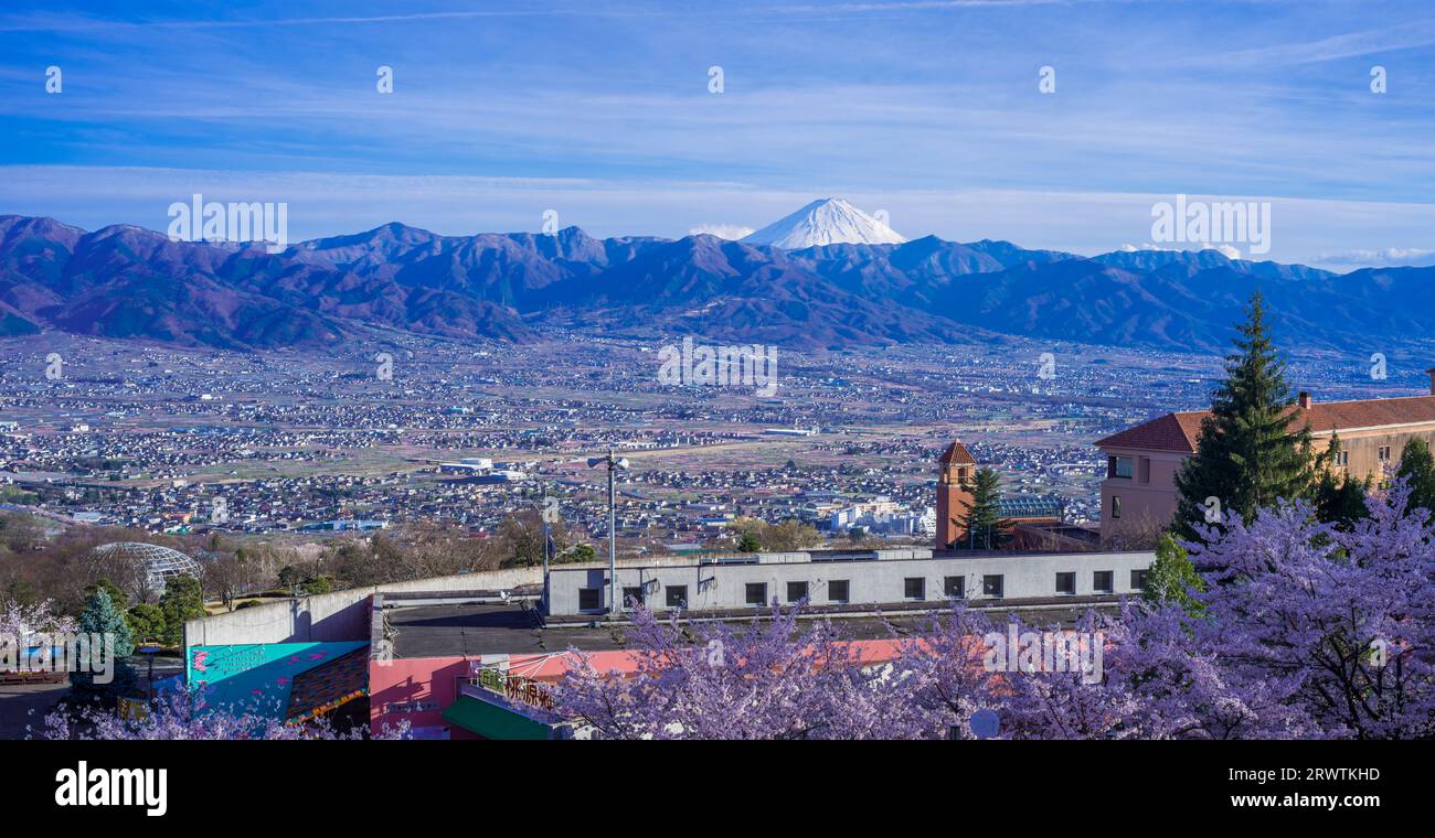 Paesaggi di Yamanashi fiori di ciliegio e bacino di Kofu, vista a distanza del Monte Fuji al Fuefukigawa Fruit Park Foto Stock