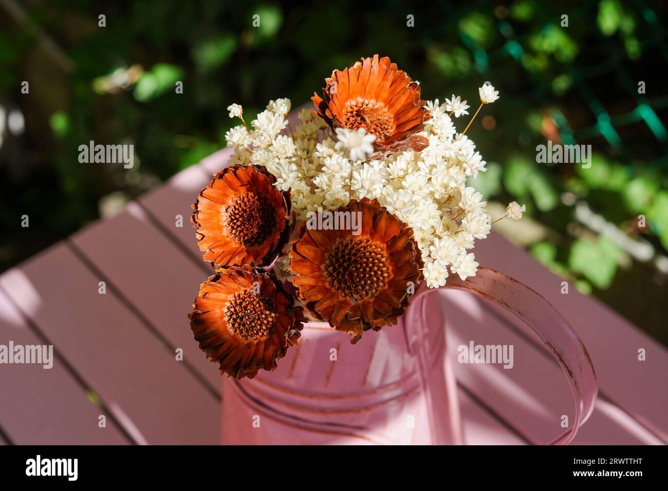 Fiori secchi. Bouquet di fiori secchi in vaso rosa su un tavolo di legno. Giornate di sole all'inizio dell'autunno Foto Stock