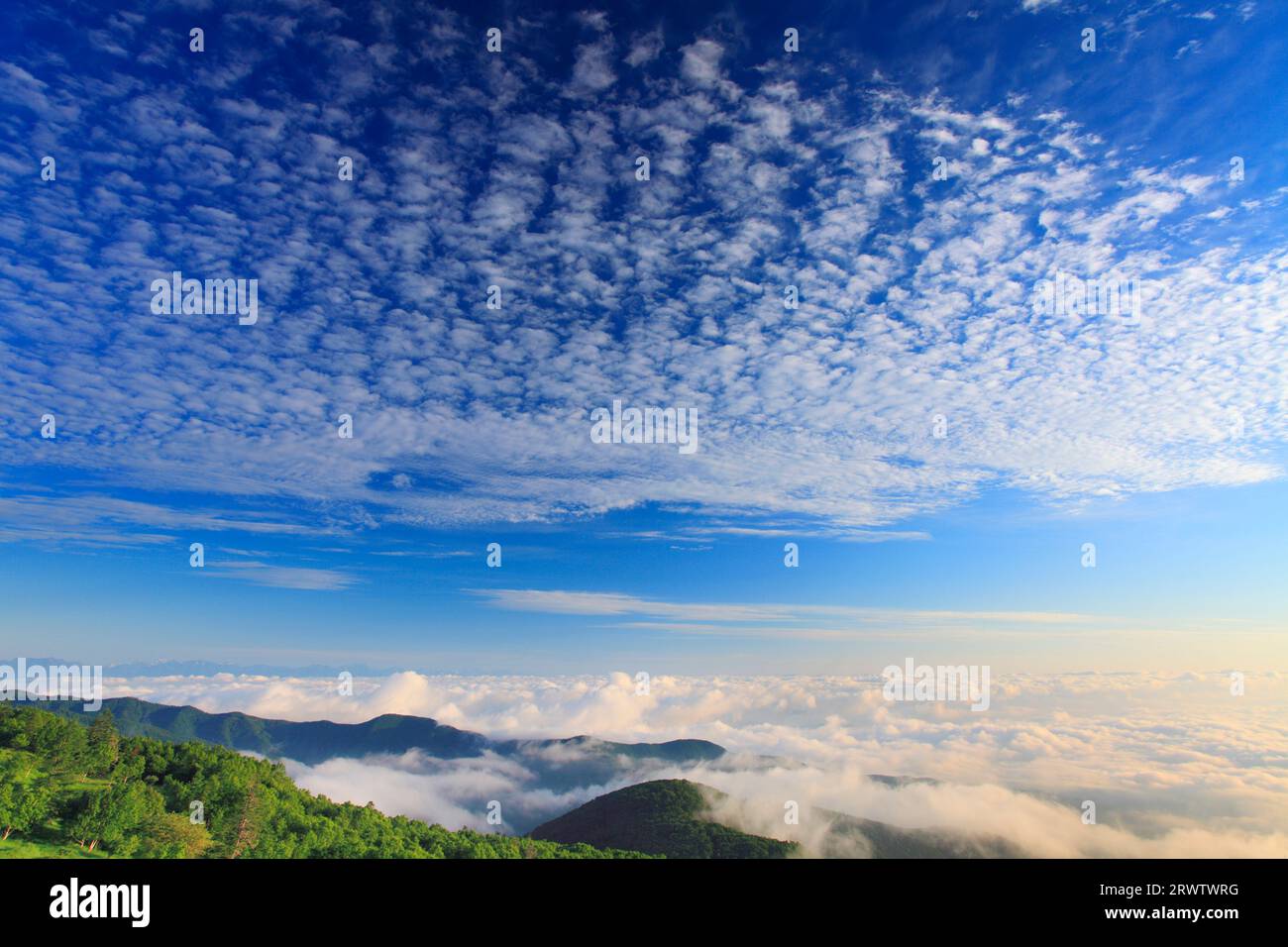 Montagne e mare di nuvole in direzione della catena montuosa Togakushi Foto Stock