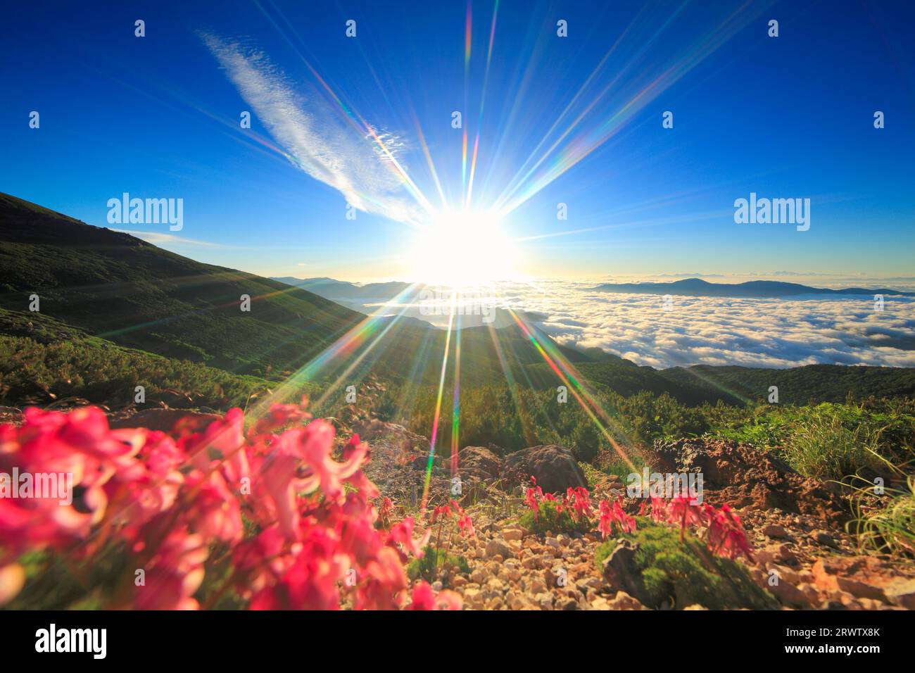 Komakusa, sole mattutino, Monte Yatsugatake e altre montagne e mare di nuvole Foto Stock