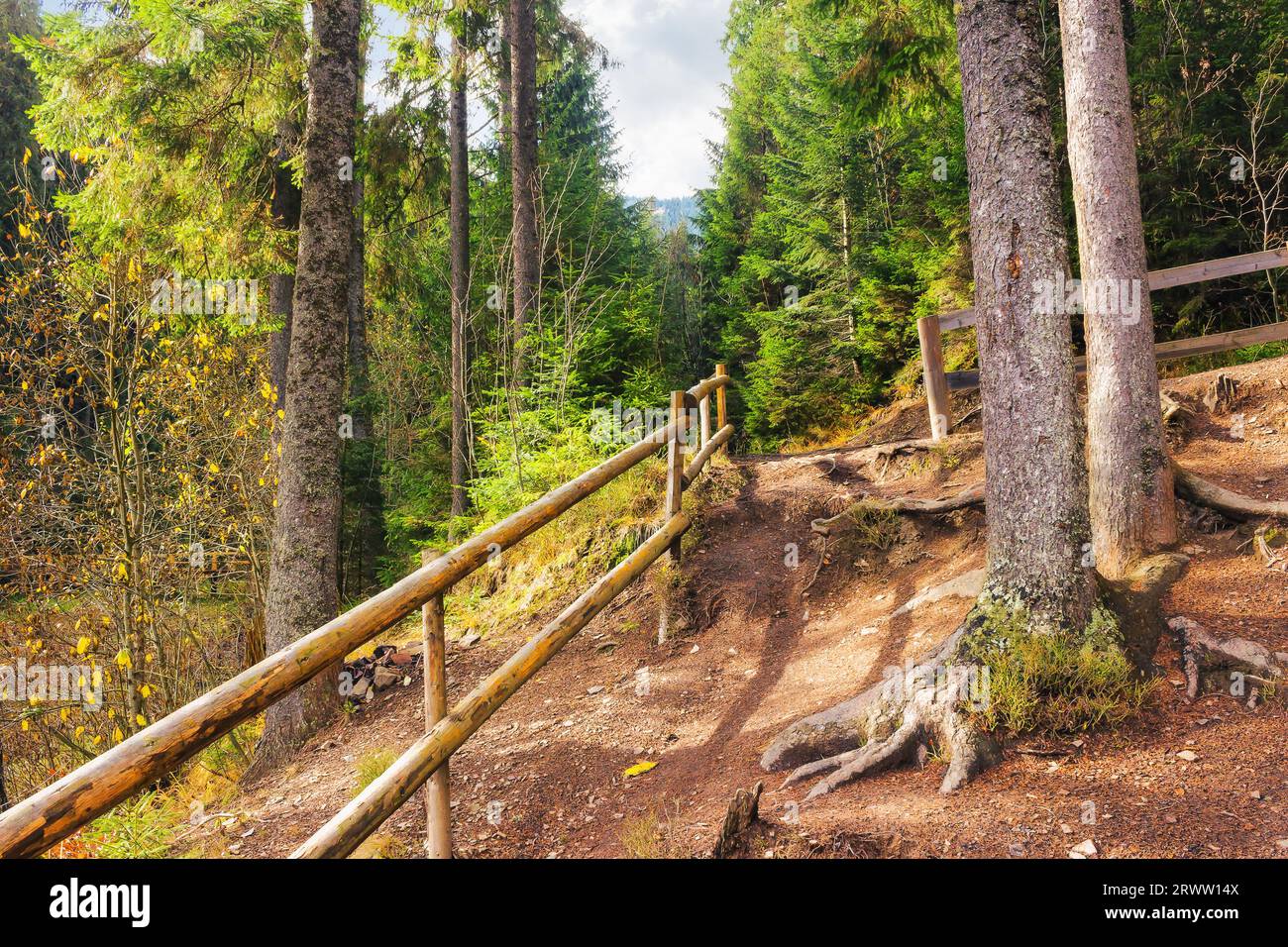 sfondo natura forestale. bella stagione autunnale. mattina di sole. recinzione in legno lungo il sentiero in salita Foto Stock