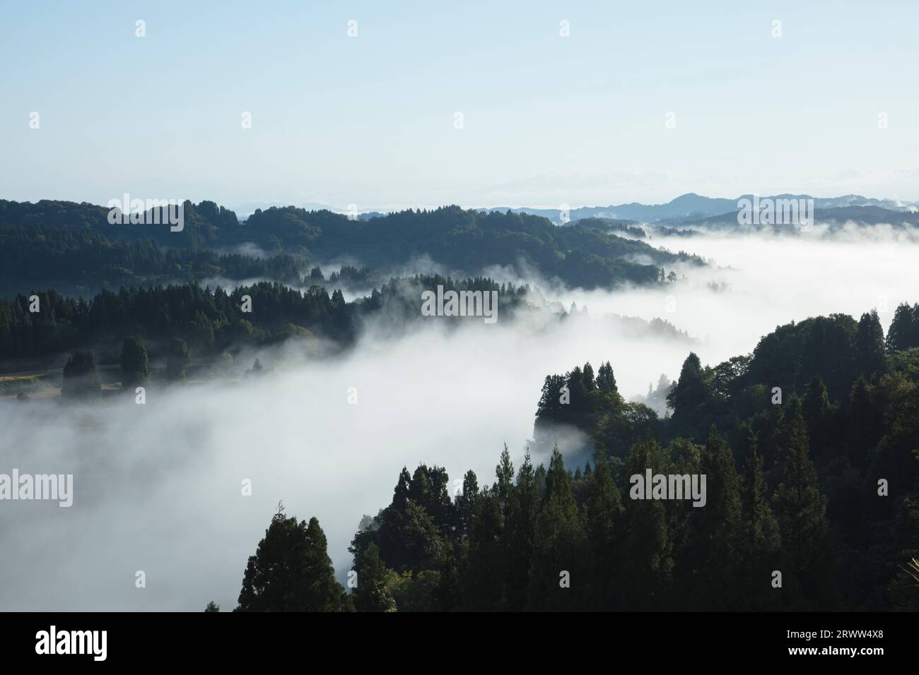 Mare di nuvole nella risaia terrazzata di Hoshitoge Foto Stock