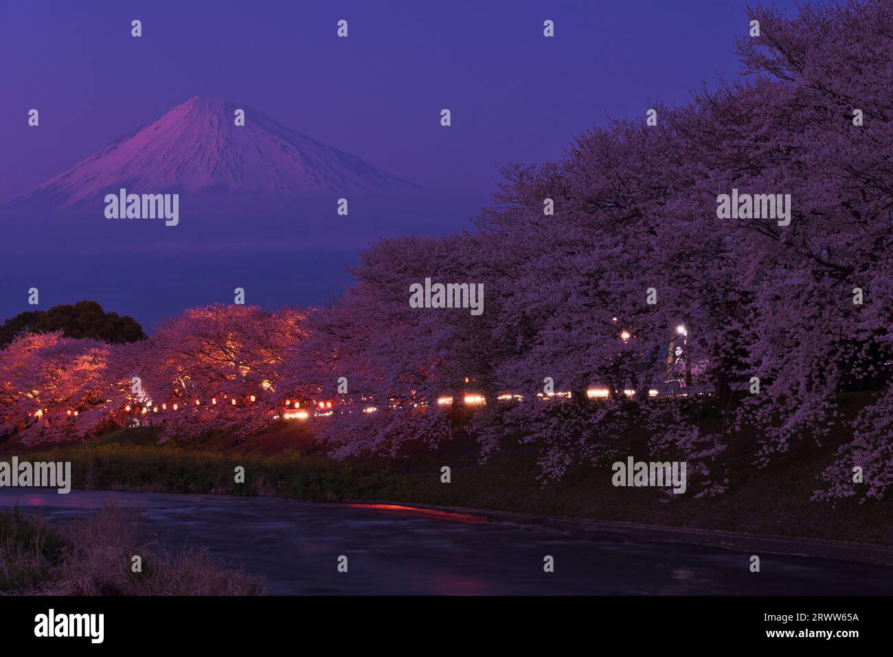 Fuji al crepuscolo e i ciliegi in fiore a Ryuiganbuchi sul fiume Juni Foto Stock