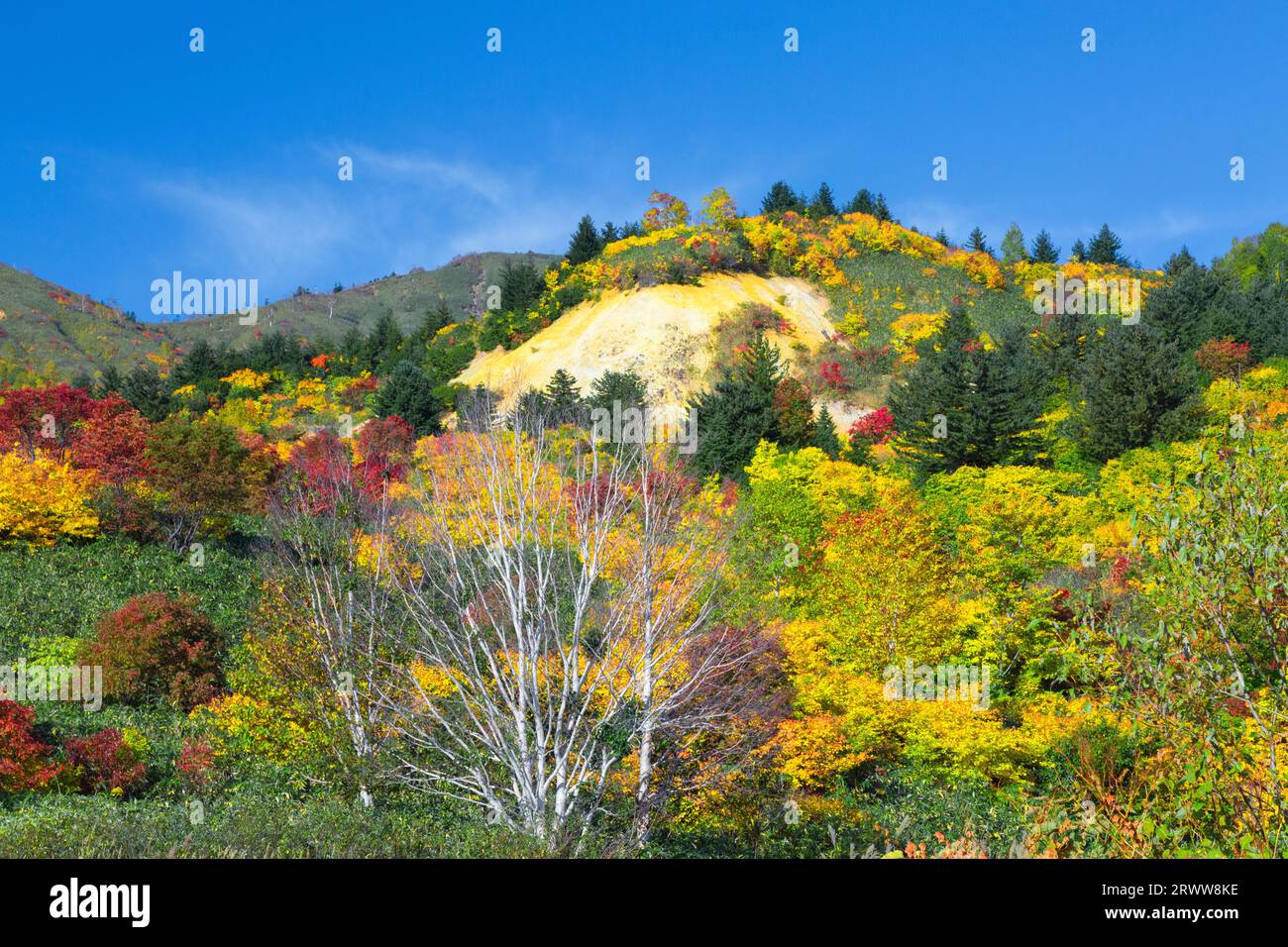 Hachimantai in colori primari con foglie autunnali e cielo blu Foto Stock