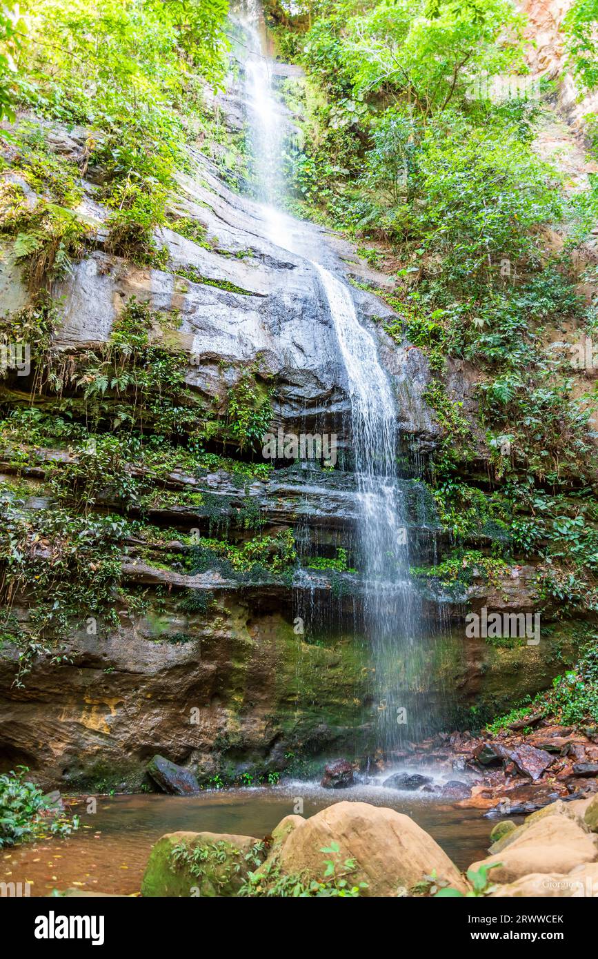 Sottile velo d'acqua che cade dalla scogliera rocciosa in un torrente nella campagna del Brasile Foto Stock