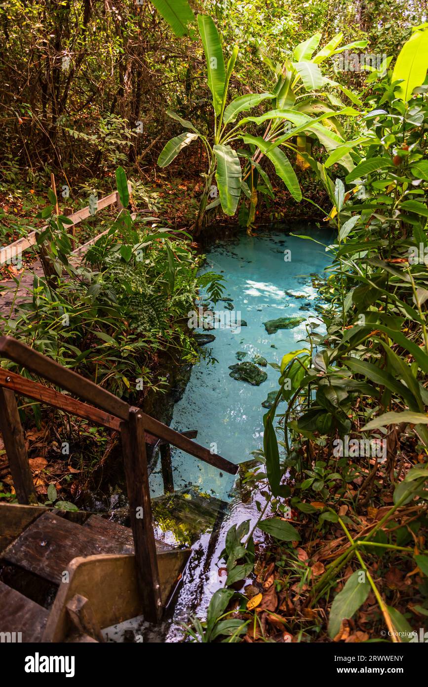 Poco occhio d'acqua con acqua turchese nella zona rurale del Brasile Foto Stock