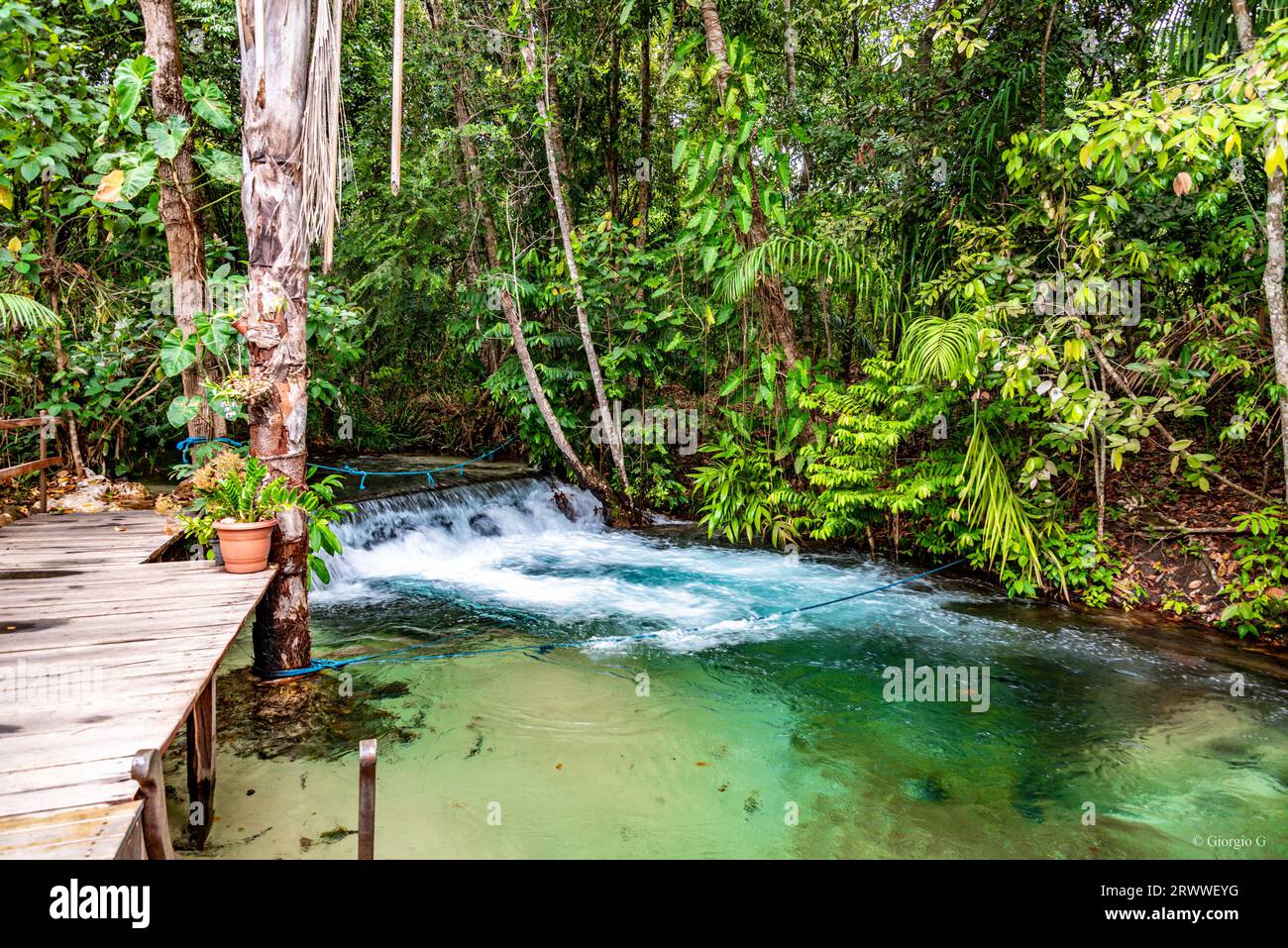 Piccola cascata in un torrente con acqua trasparente nella campagna del Brasile Foto Stock