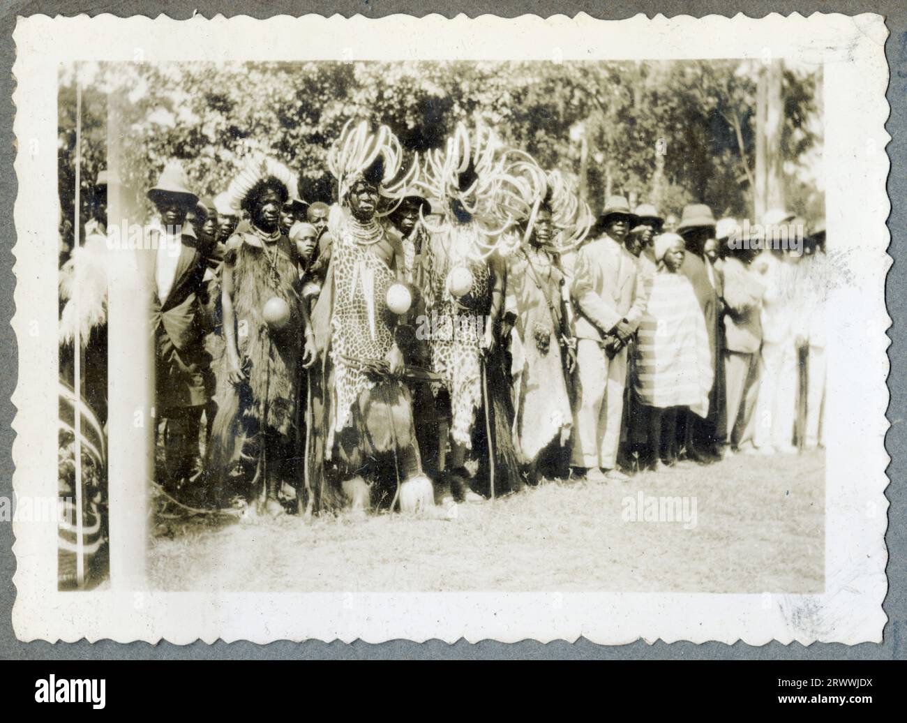 Una delle sette immagini intitolate "North Kavirondo Agricultural Show". Mumias. Gen: 1931. » Una linea di persone africane che indossano copricapi di piume di struzzo ornate e che trasportano scudi formano una linea, alcuni in piedi e alcuni montati su buoi. Foto Stock