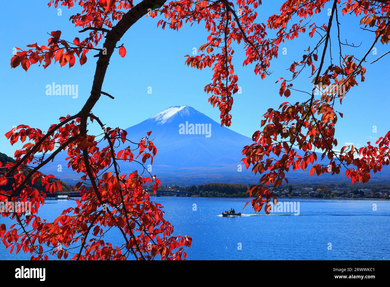 Barca sul monte Fuji e foglie di ciliegia in autunno Foto Stock