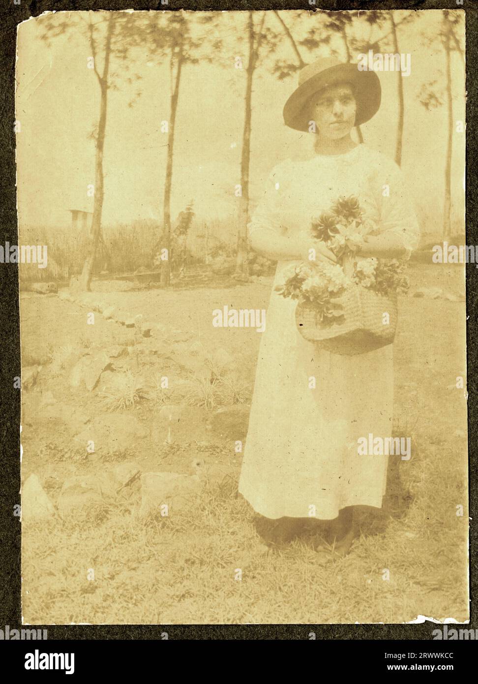 Foto a figura intera della signora Bungey nel suo giardino, che indossa un cappello e tiene in mano un cesto di fiori. Didascalia del manoscritto originale: Il nostro primo "Dahlia" [sic] febbraio 1916. Nairobi. Foto Stock