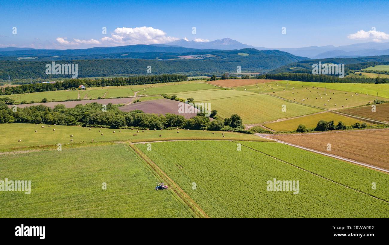 Colline estive di Hokkaido e catena montuosa di Asahidake in lontananza Foto Stock