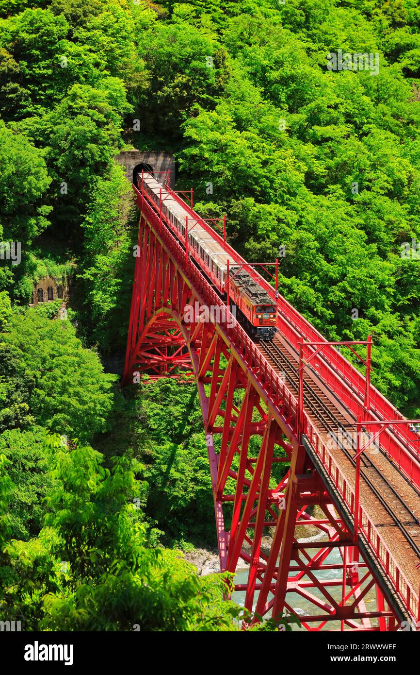 Kurobe Gorge Railway, tram Foto Stock