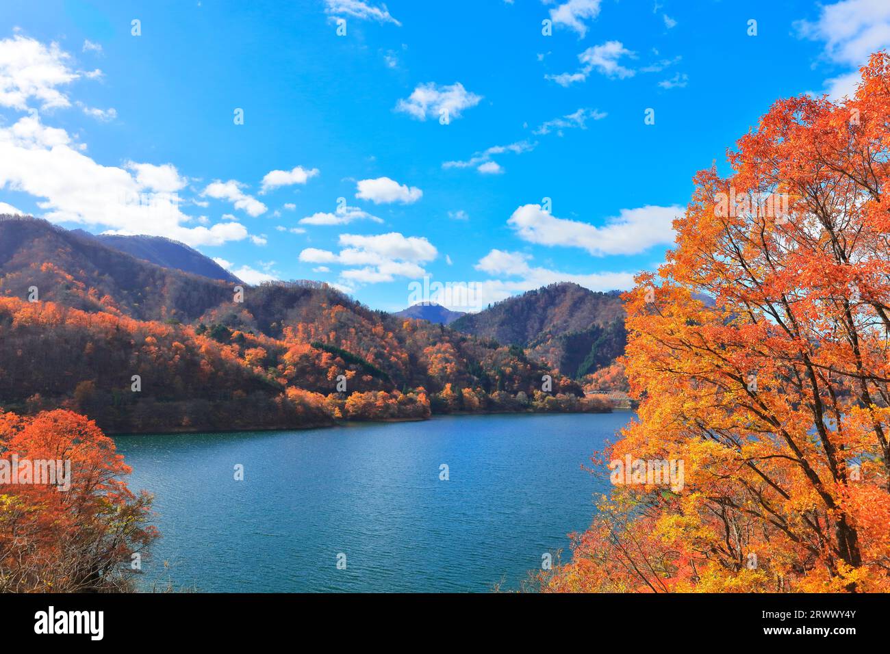 Lago Kuzuryu e foglie d'autunno Foto Stock