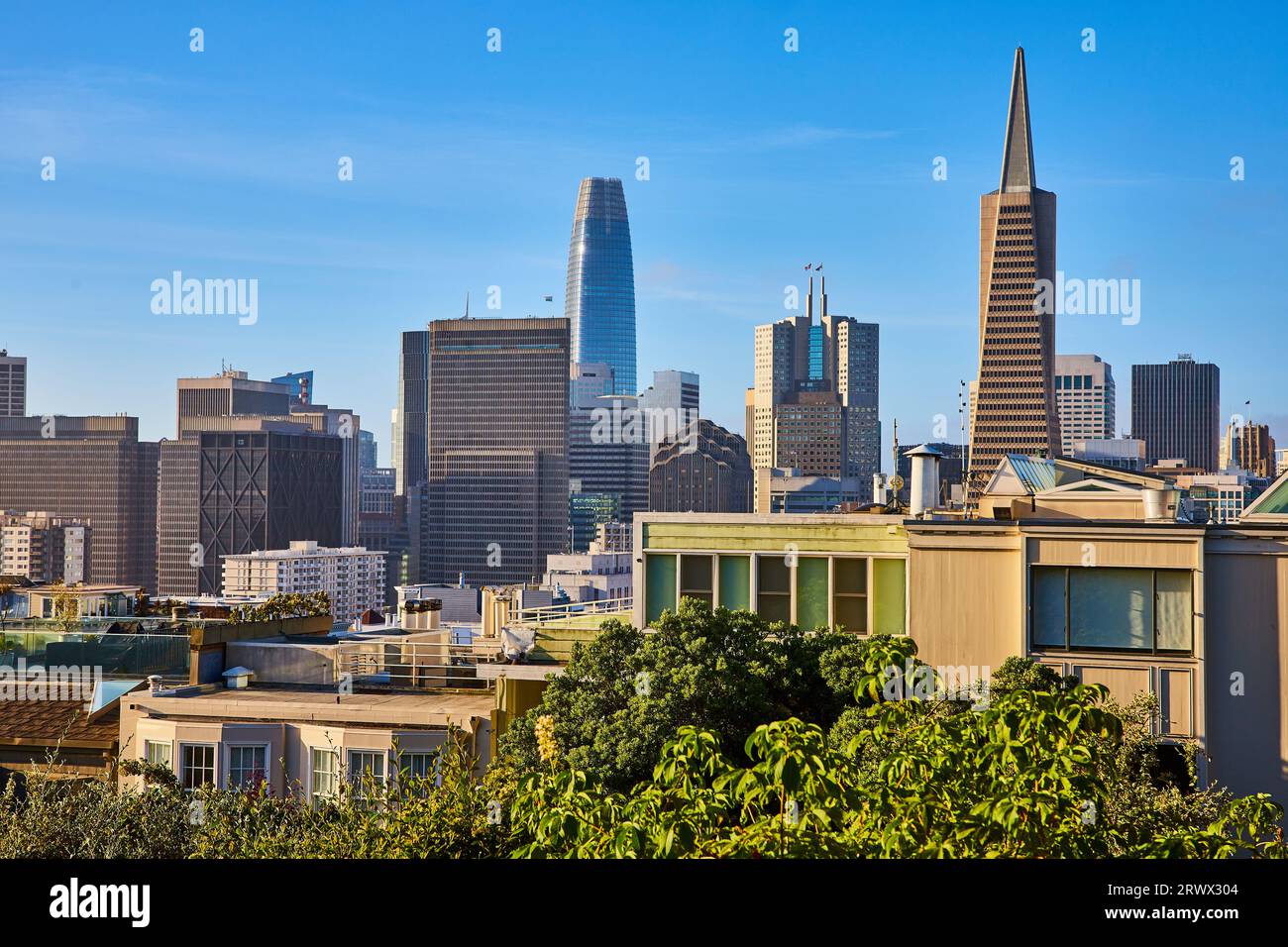 Vista del centro cittadino di San Francisco da Telegraph Hill nelle luminose giornate estive Foto Stock