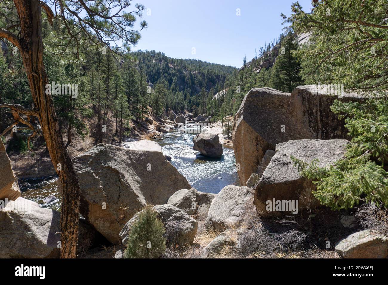 Splendido scenario nella natura selvaggia del Colorado, il Cheesman Canyon Foto Stock