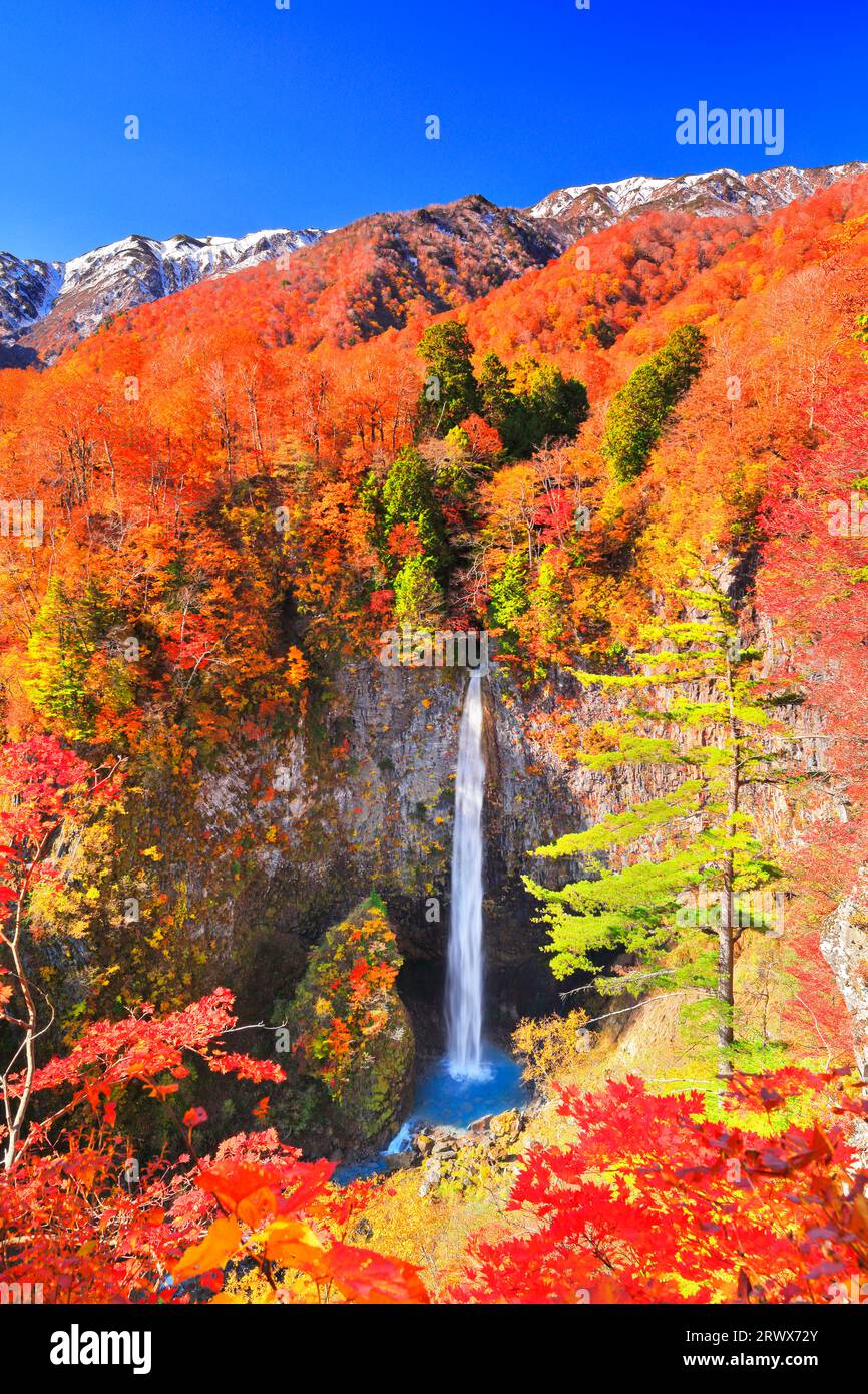 Cascata Shirasui autunnale con foglie autunnali e catena montuosa Hakusan, ricoperta di neve Foto Stock