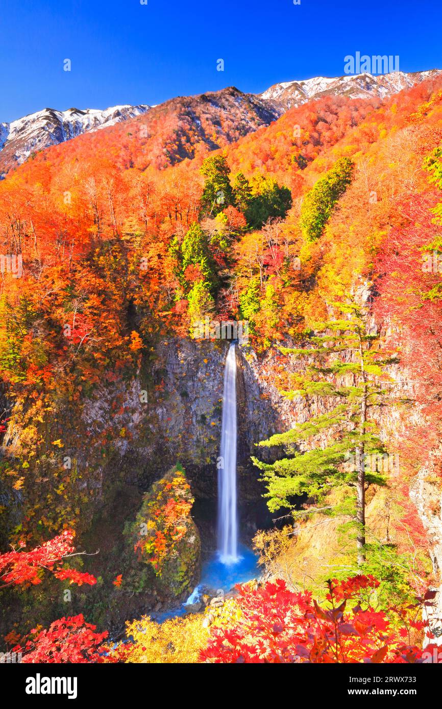 Cascata Shirasui autunnale con foglie autunnali e catena montuosa Hakusan, ricoperta di neve Foto Stock