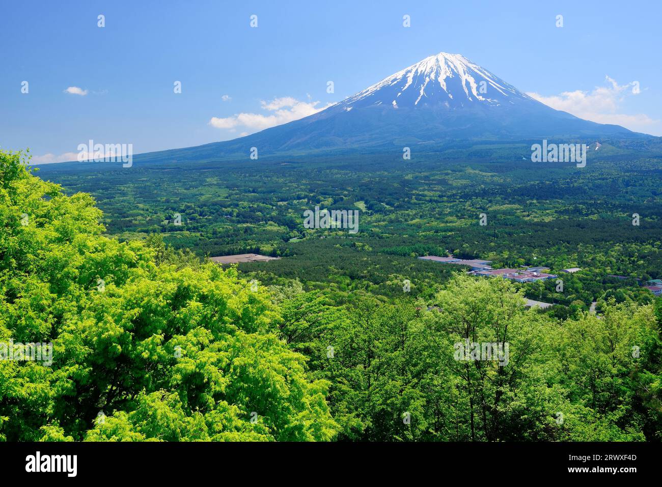Verde fresco e Mt. Fuji in autunno parte dalla casa di riposo di Akiyadai, Yamanashi Foto Stock