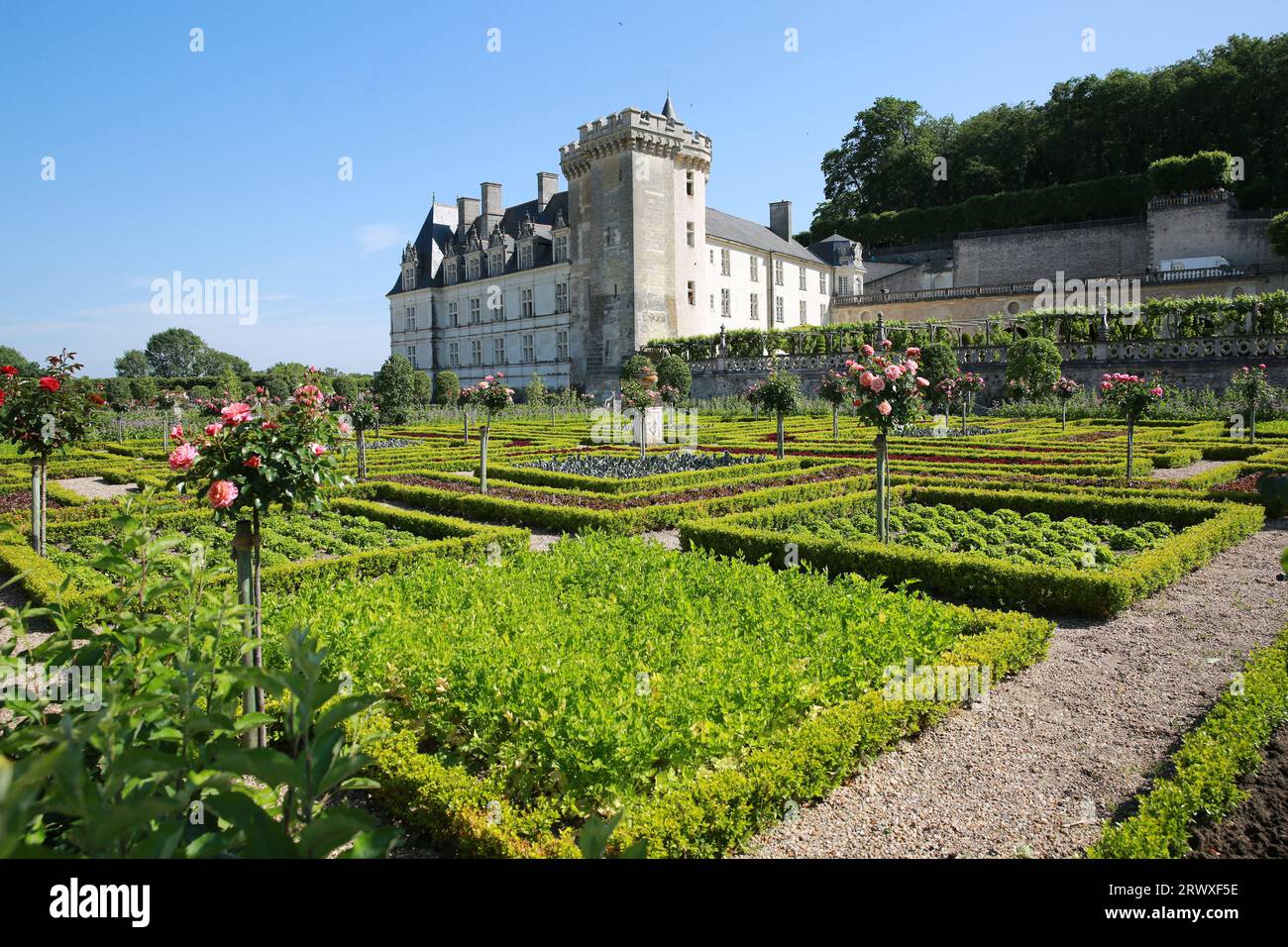 Chateau de Villandry, Foto Stock