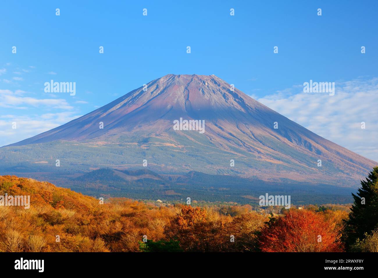 Fuji e foglie autunnali dall'altopiano di Fujigamine in autunno, Yamanashi Foto Stock