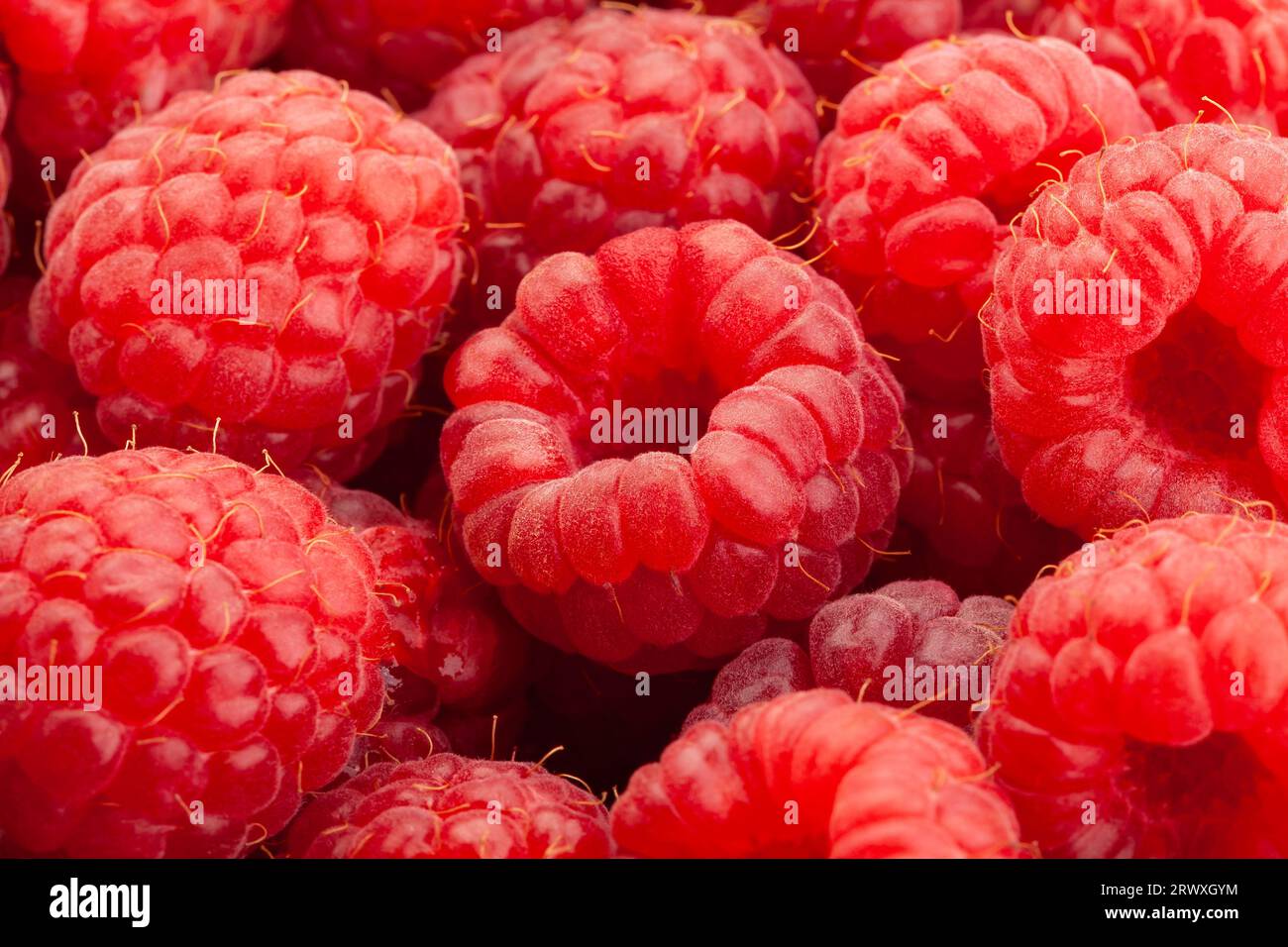dettaglio primo piano macro raspberry group Foto Stock