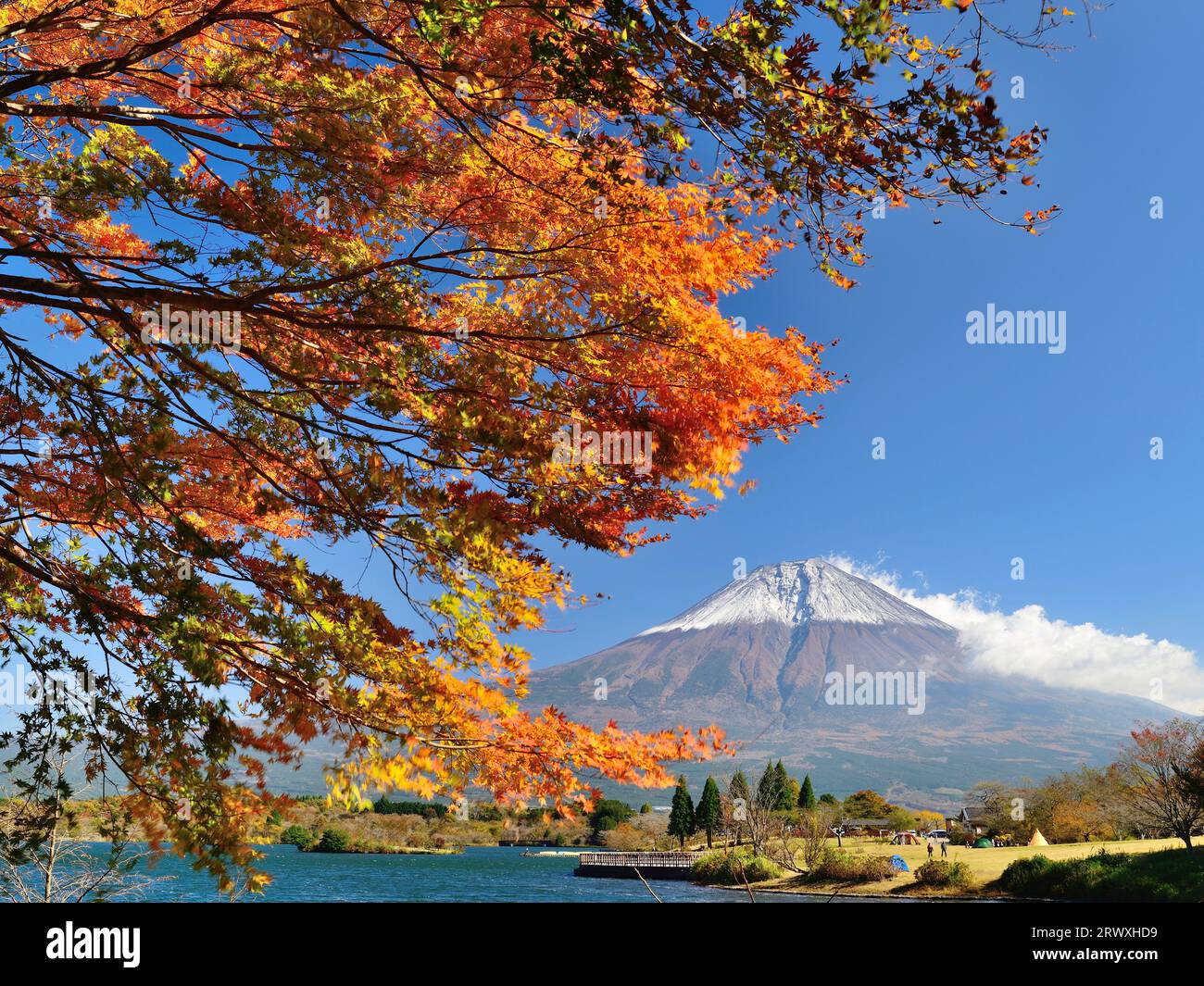 Fuji in autunno lascia il lago Tanuki, prefettura di Shizuoka, Giappone Foto Stock