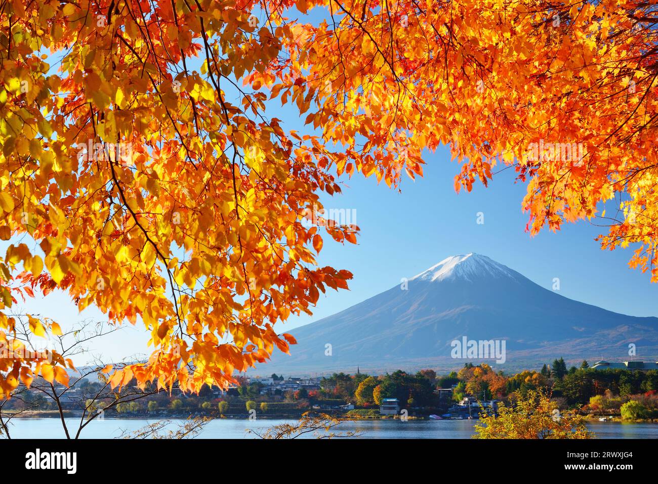Yamanashi Autunno colori degli alberi e Mt. Fuji Foto Stock
