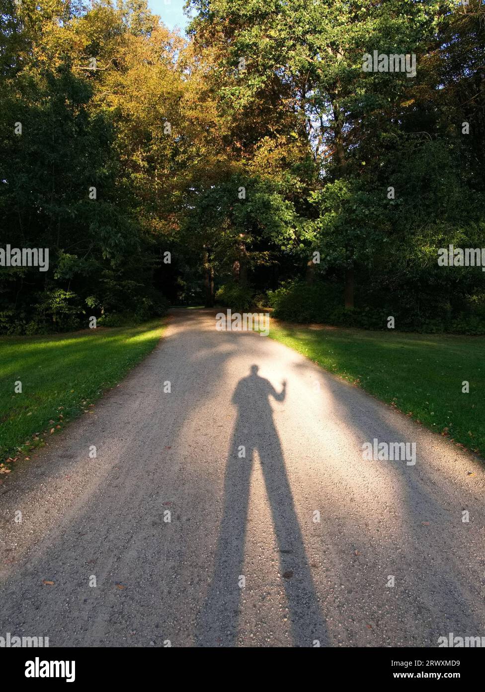 Nel Parco Großer Garten è stato fotografato un sentiero con lunghe ombre causate dal sole sospeso. Il soggetto è un gioco di luci e ombre. Foto Stock