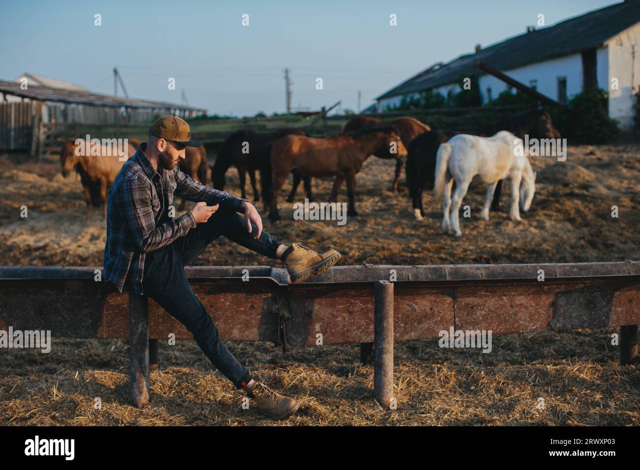 Un giovane con un telefono in mano sullo sfondo di un paddock con i cavalli. Un uomo riposa dopo una giornata di lavoro alla fattoria, al tramonto. Foto Stock