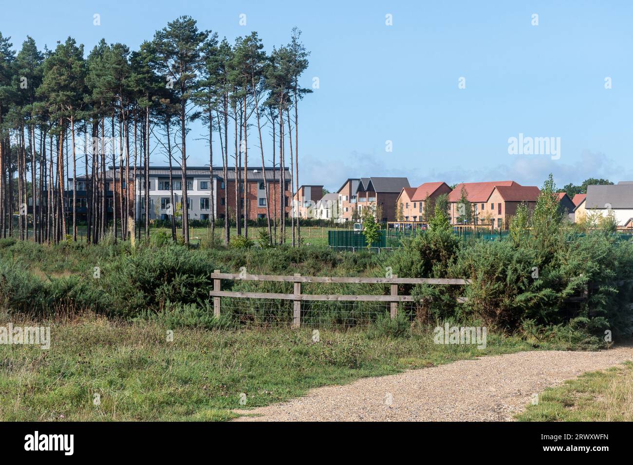 Veduta di Bucklers Park, un nuovo sviluppo abitativo, da Bucklers Forest greenspace, Crowthorne, Berkshire, Inghilterra, Regno Unito Foto Stock