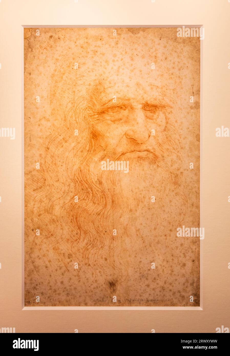 Torino, Italia - aprile 2023: Ritratto originale di Leonardo da Vinci su carta di cotone fatta a mano, Biblioteca reale Foto Stock