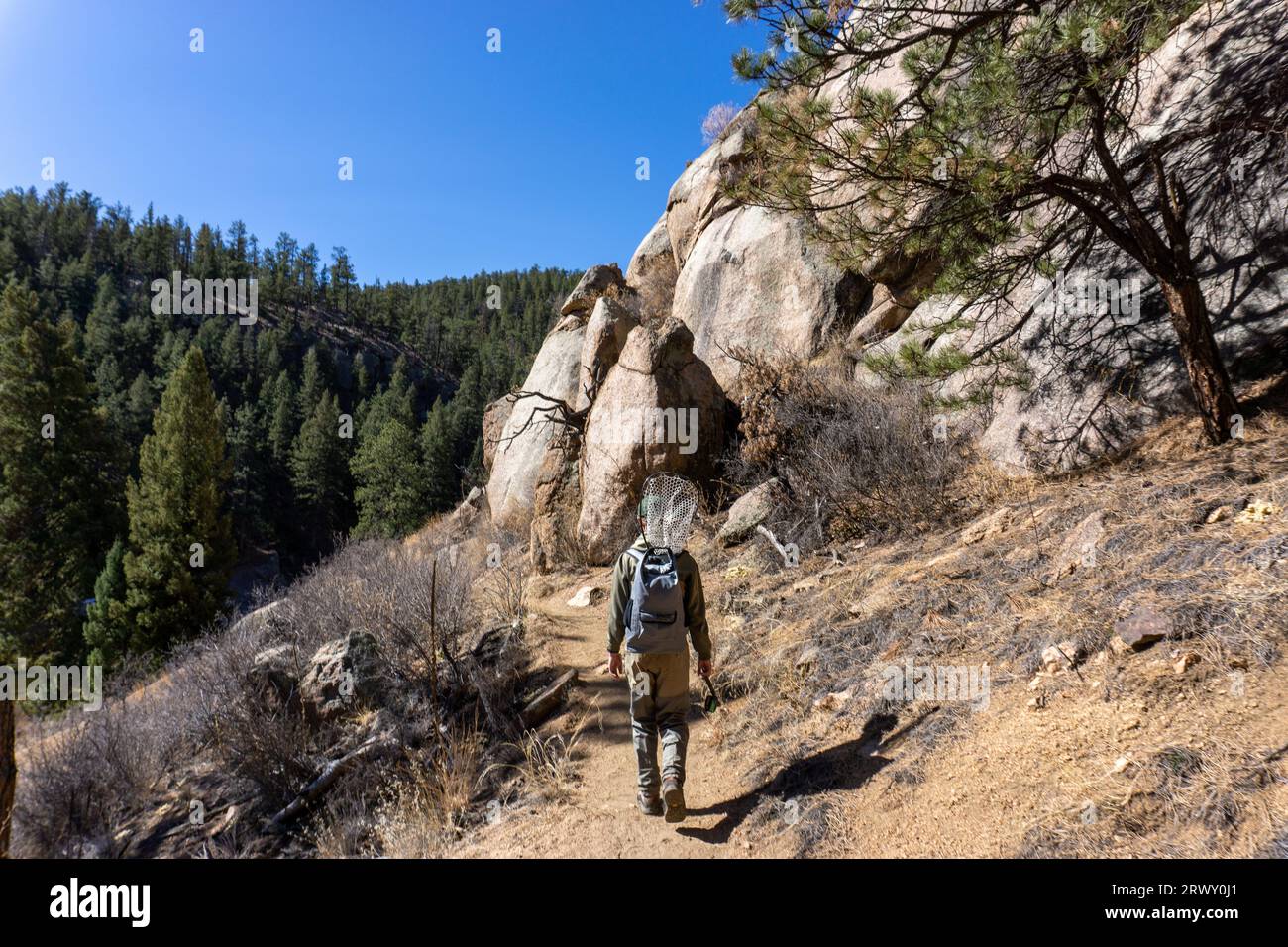 Uomo che cammina nel Cheesman Canyon per andare a pescare in Colorado Foto Stock