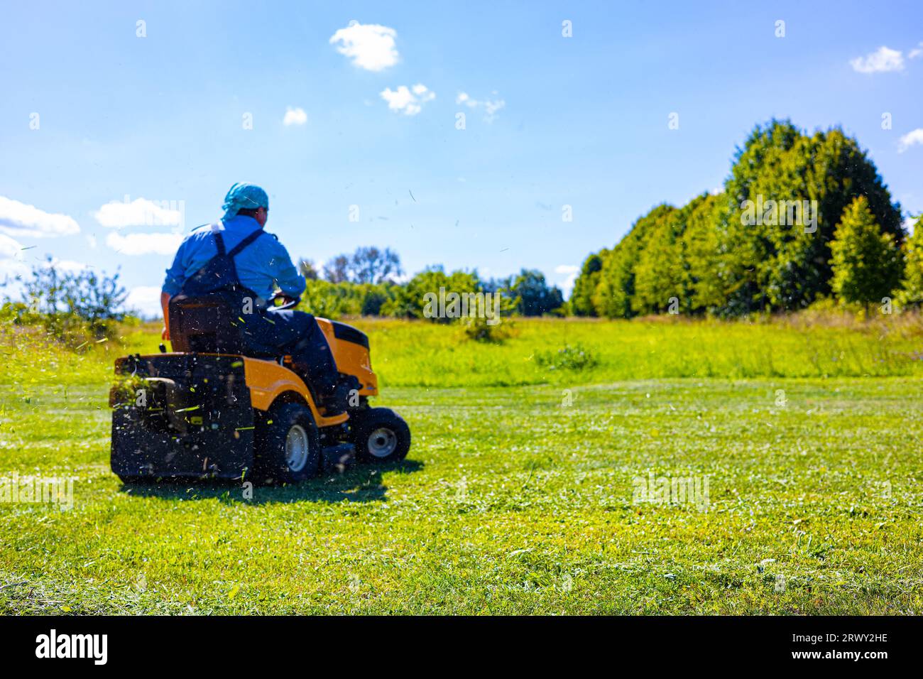 l'erba che vola via durante il taglio del prato, sparata con poca profondità di campo. acido del prato del trattore. il rasaerba taglia l'erba sul prato. Foto Stock