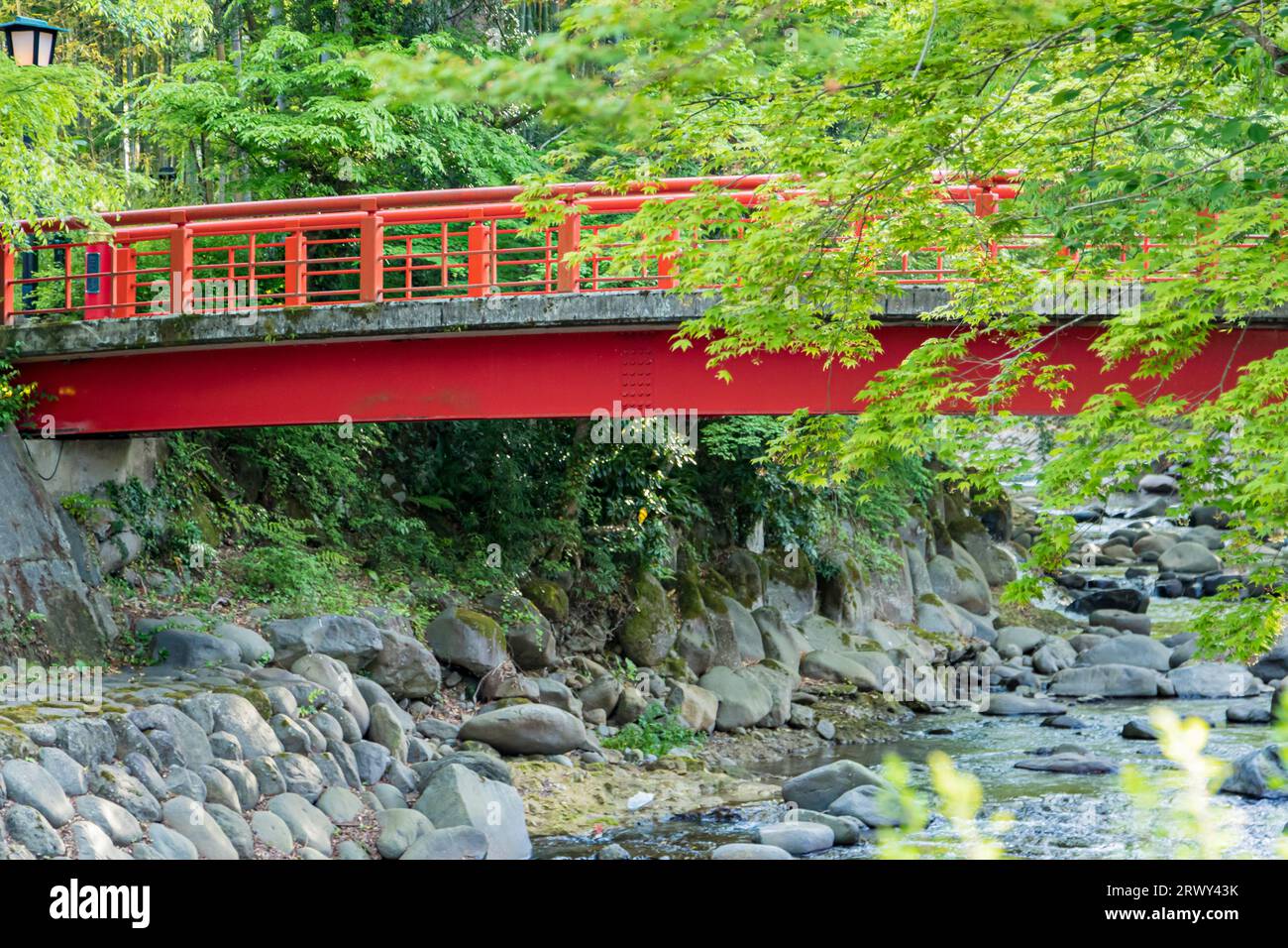 Shuzenji Onsen il ponte Katsura che brilla nel verde fresco della primavera (paesaggio dal lato nord a valle) Foto Stock