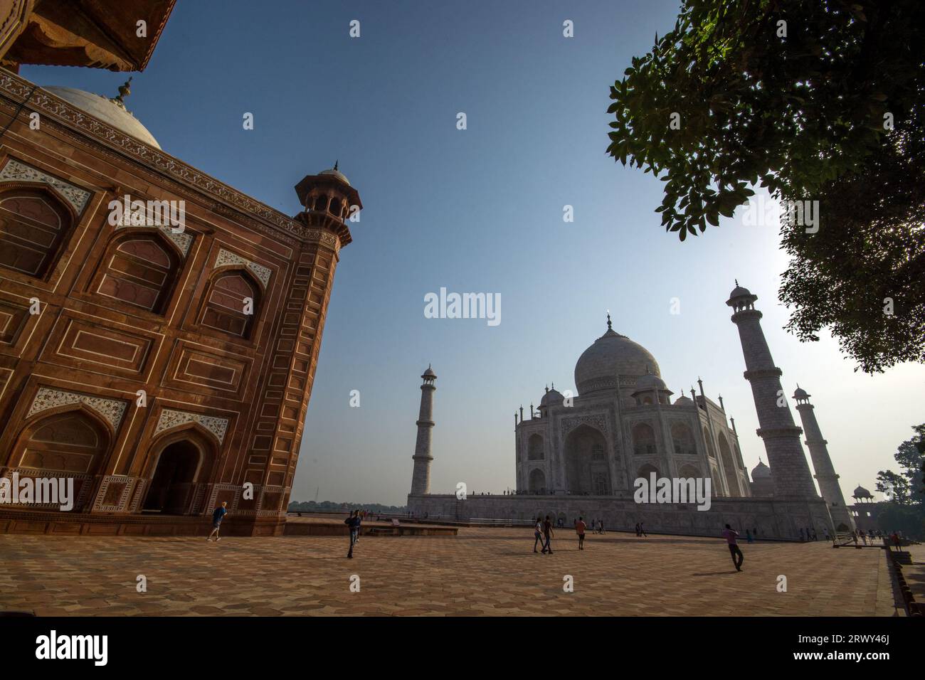 taj mahal il simbolo dell'amore Foto Stock