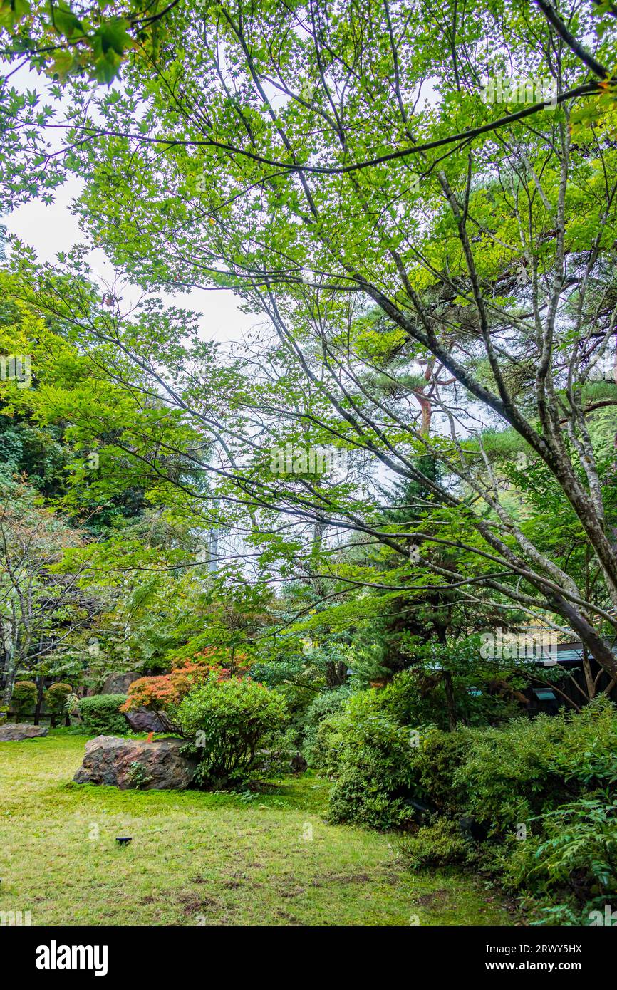 Giardino giapponese di Sadokinzan sul terreno Foto Stock