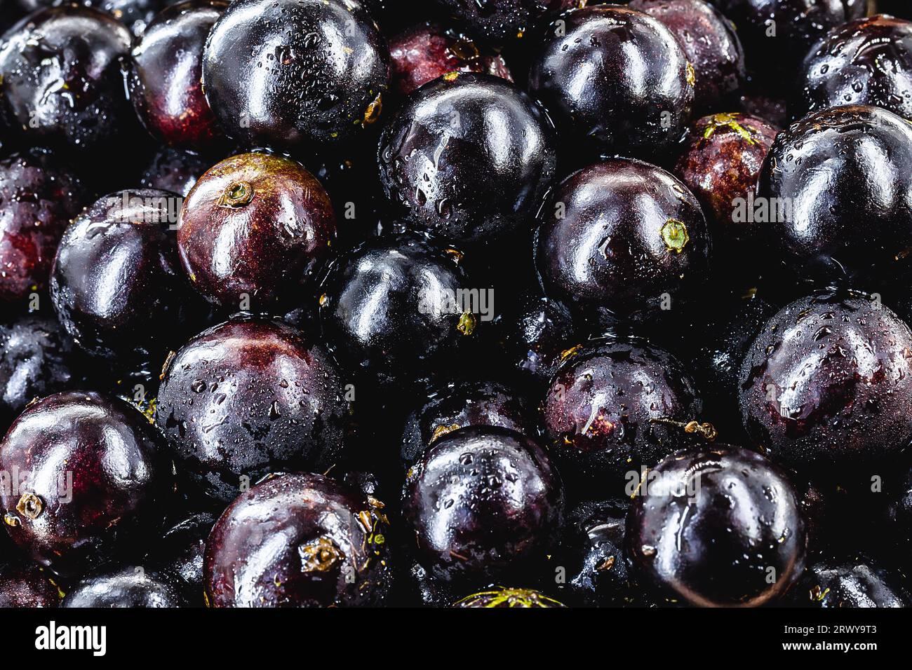 Jabuticaba. Frutti tropicali brasiliani e sudamericani, in una pentola di rame su un tavolo rustico Foto Stock