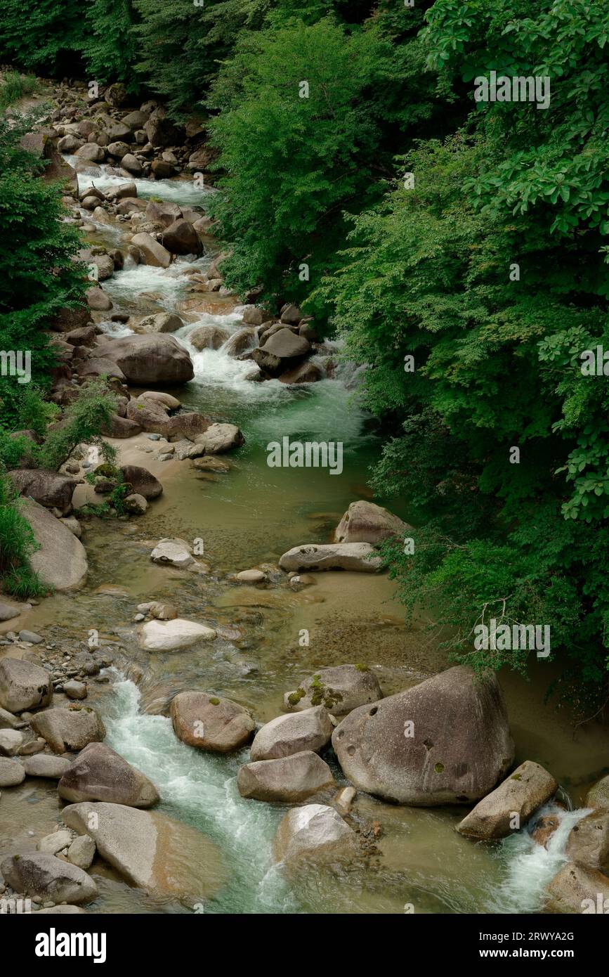 Ran River a monte dal ponte Tsumago Foto Stock