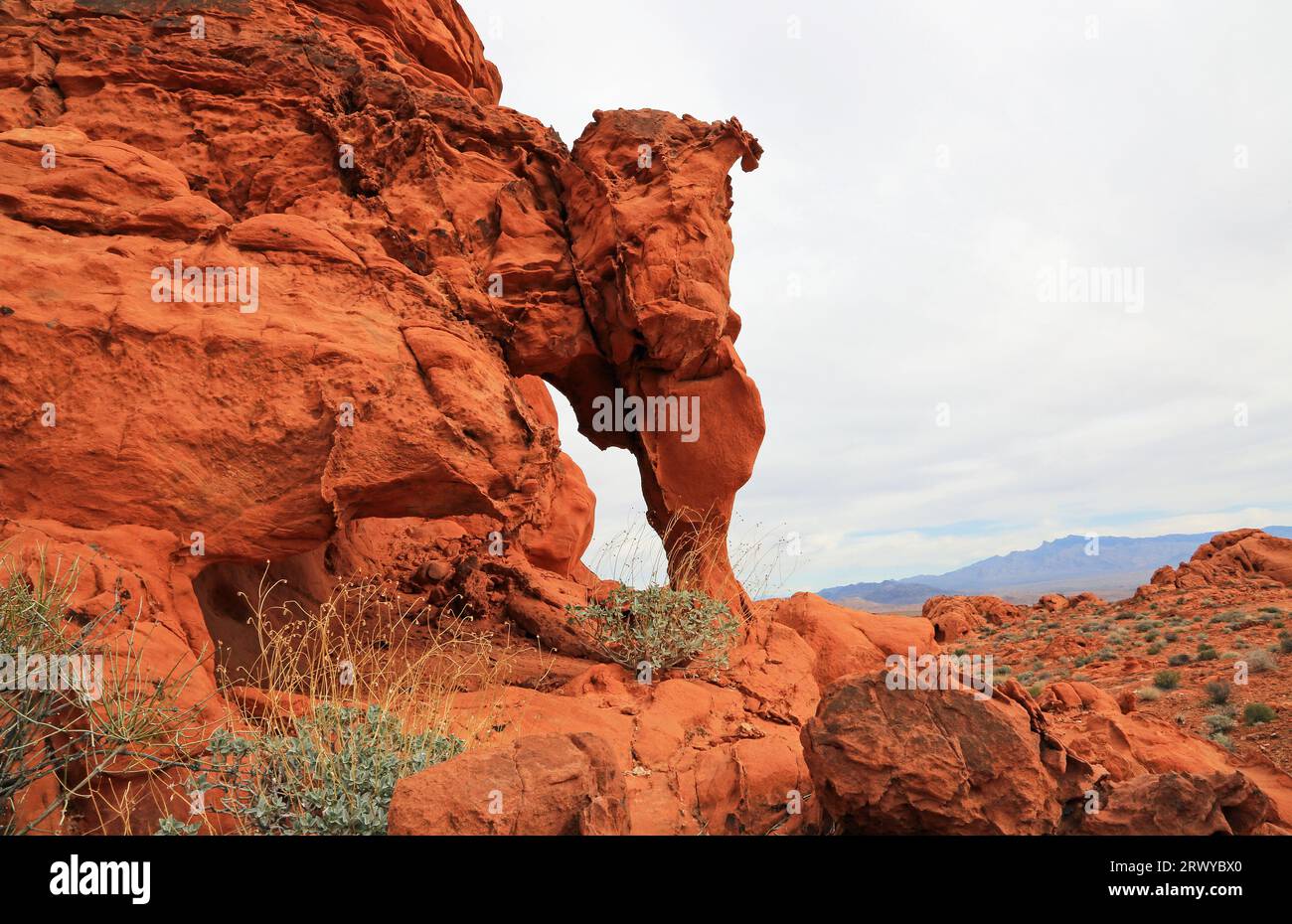 Finestra naturale - Valley of Fire State Park, Nevada Foto Stock