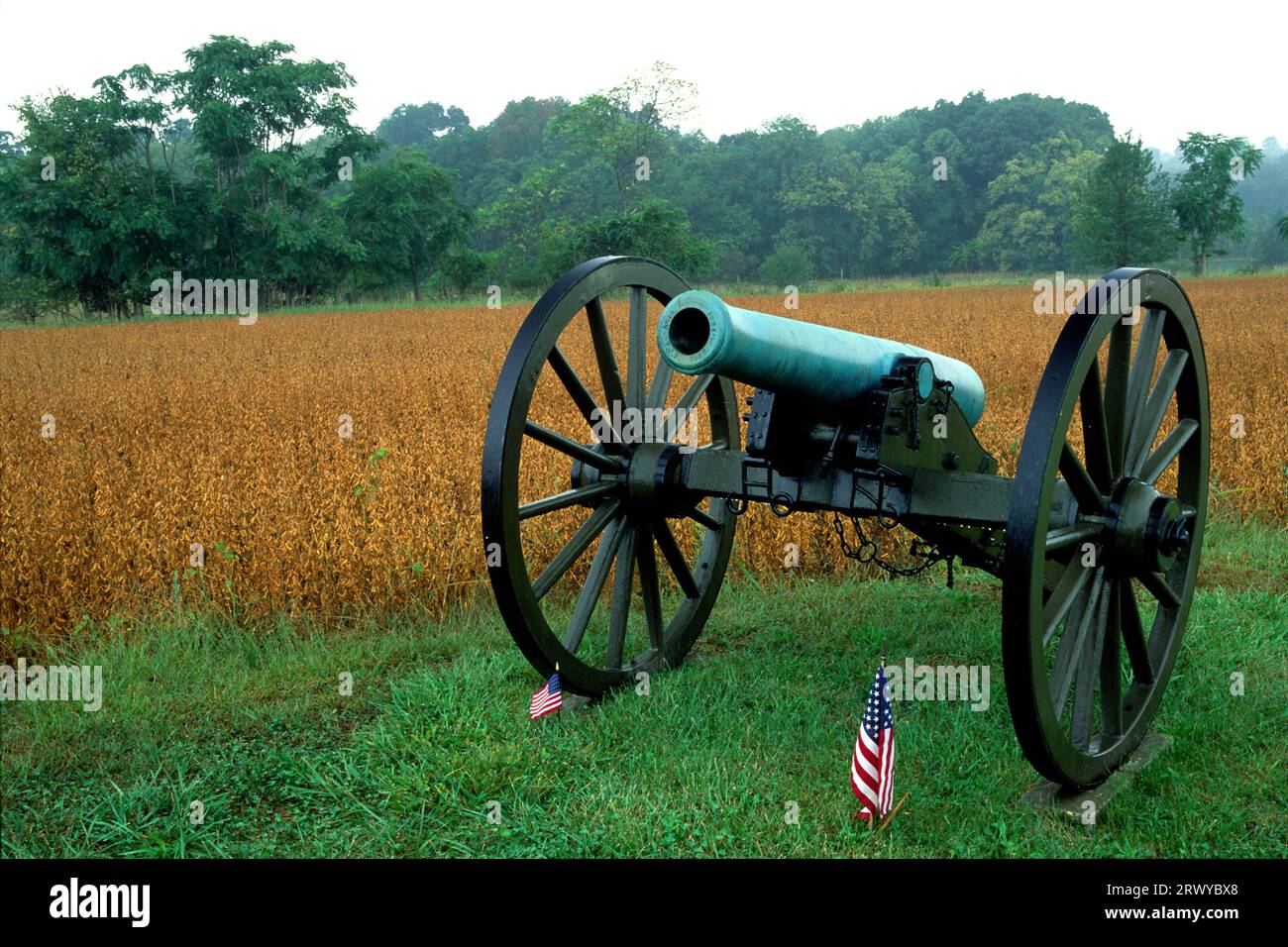 Il cannone, Antietam National Battlefield, Maryland Foto Stock