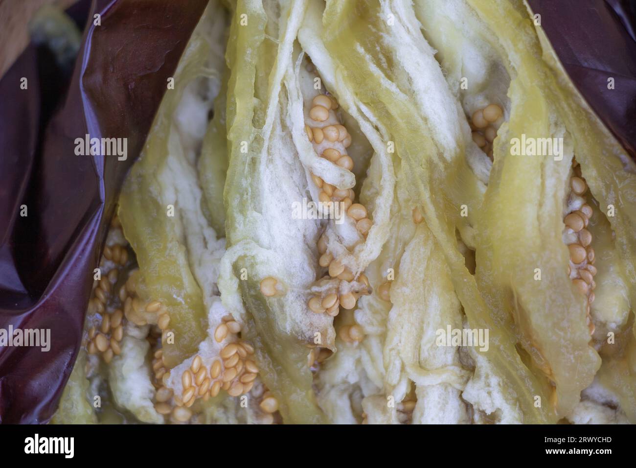 Baked to Perfection: Uno sguardo ravvicinato alla melanzana arrostita al forno. Foto Stock