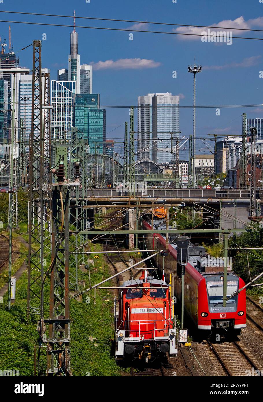 Vista sul meno di Francoforte con i treni, Germania, Assia, Francoforte sul meno Foto Stock