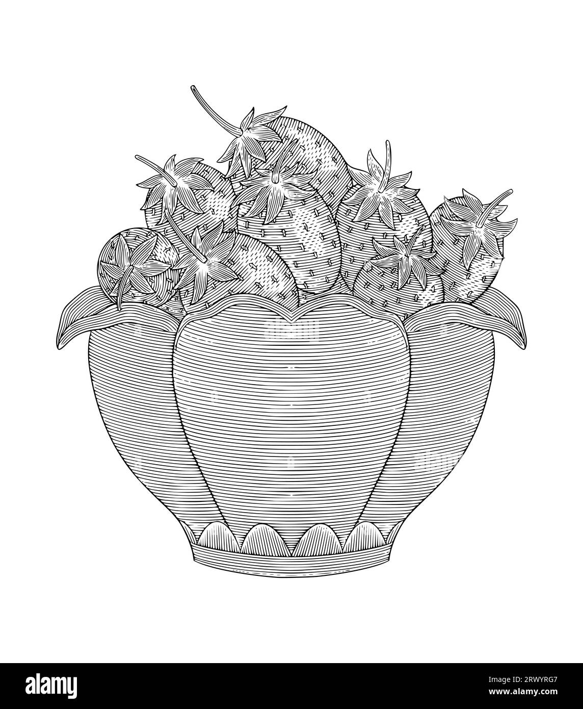 Fragola in vaso, disegno con incisione vintage e illustrazione vettoriale Illustrazione Vettoriale