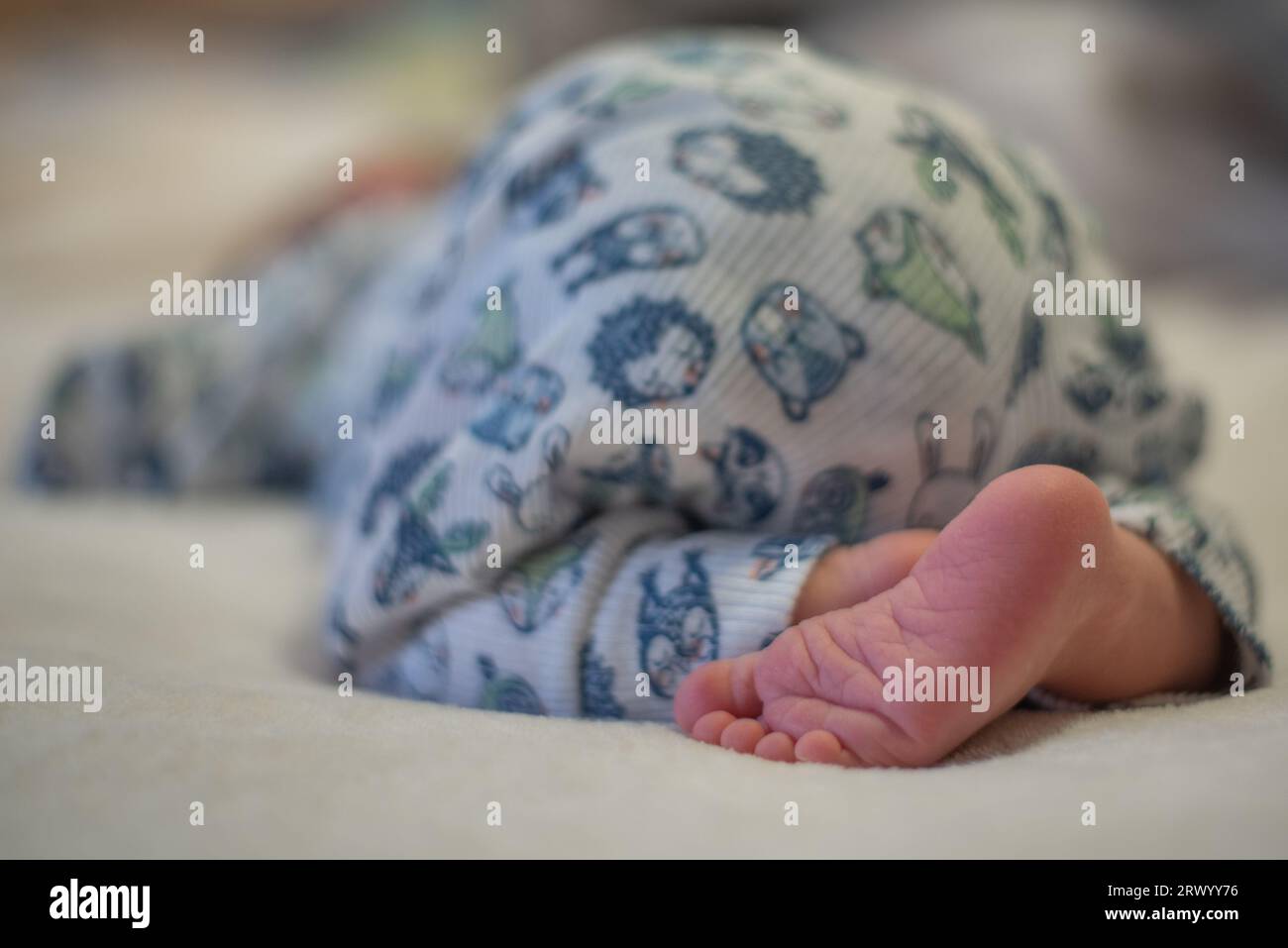 Neonato che dorme sullo stomaco con il bottino alzato Foto Stock