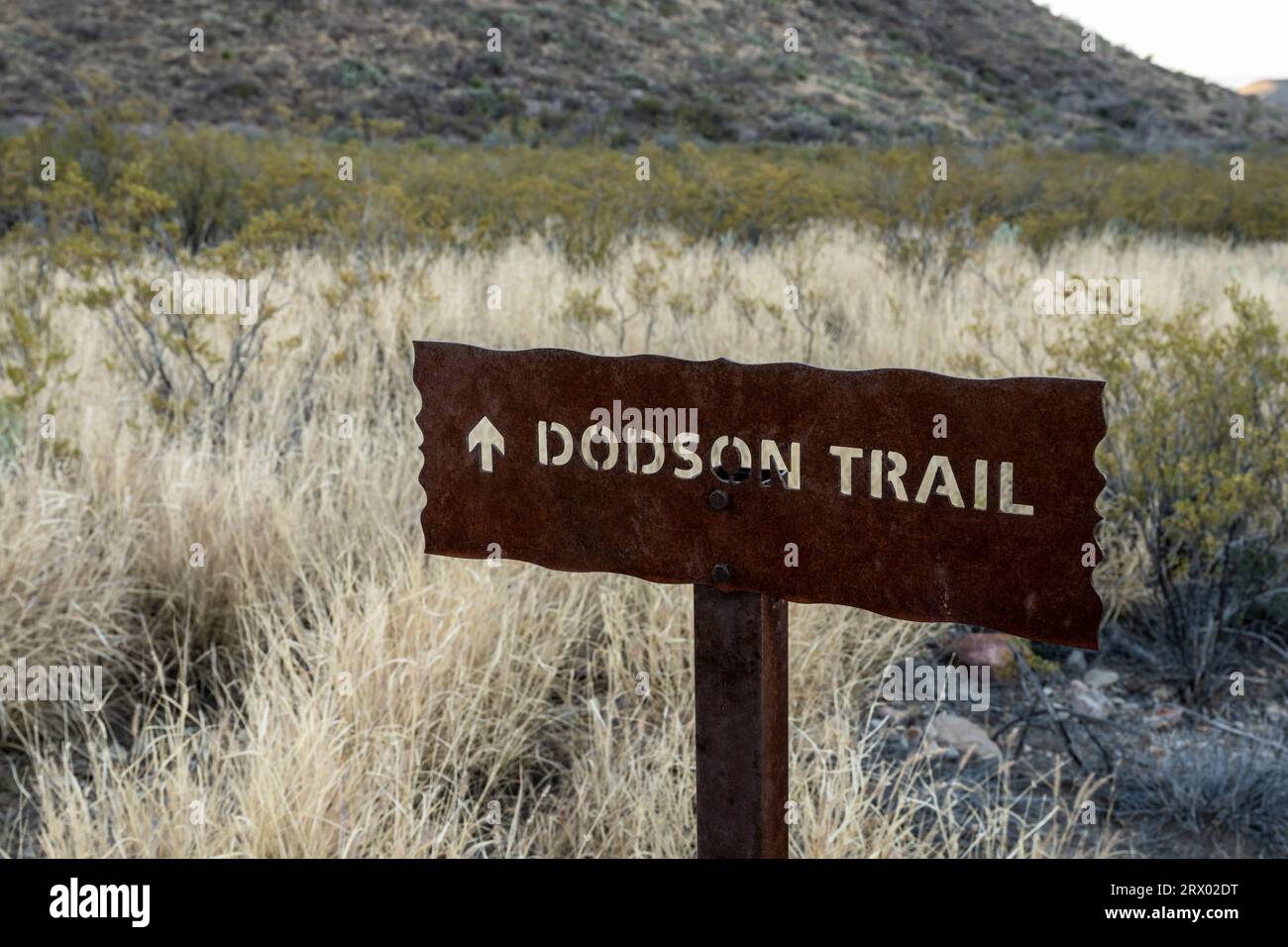 Il cartello del Dodson Trail indica la strada per il Wilderness di Big Bend Foto Stock